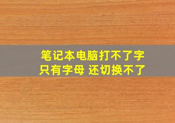 笔记本电脑打不了字只有字母 还切换不了